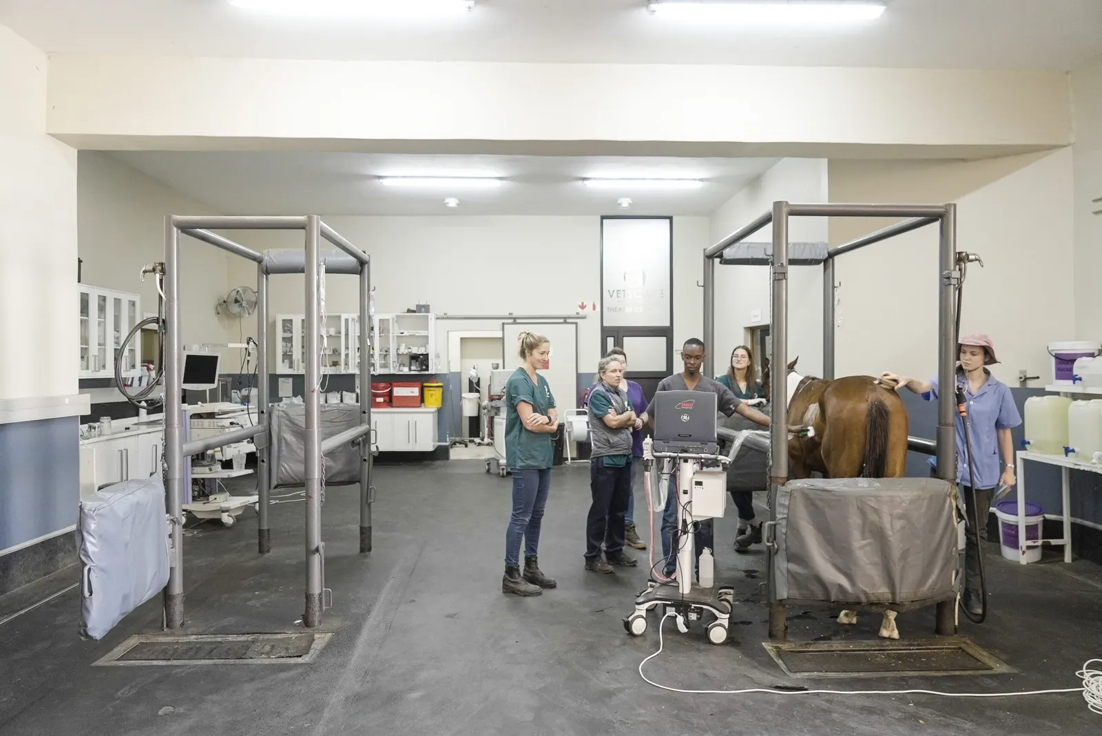 The equine hospital treatment area
