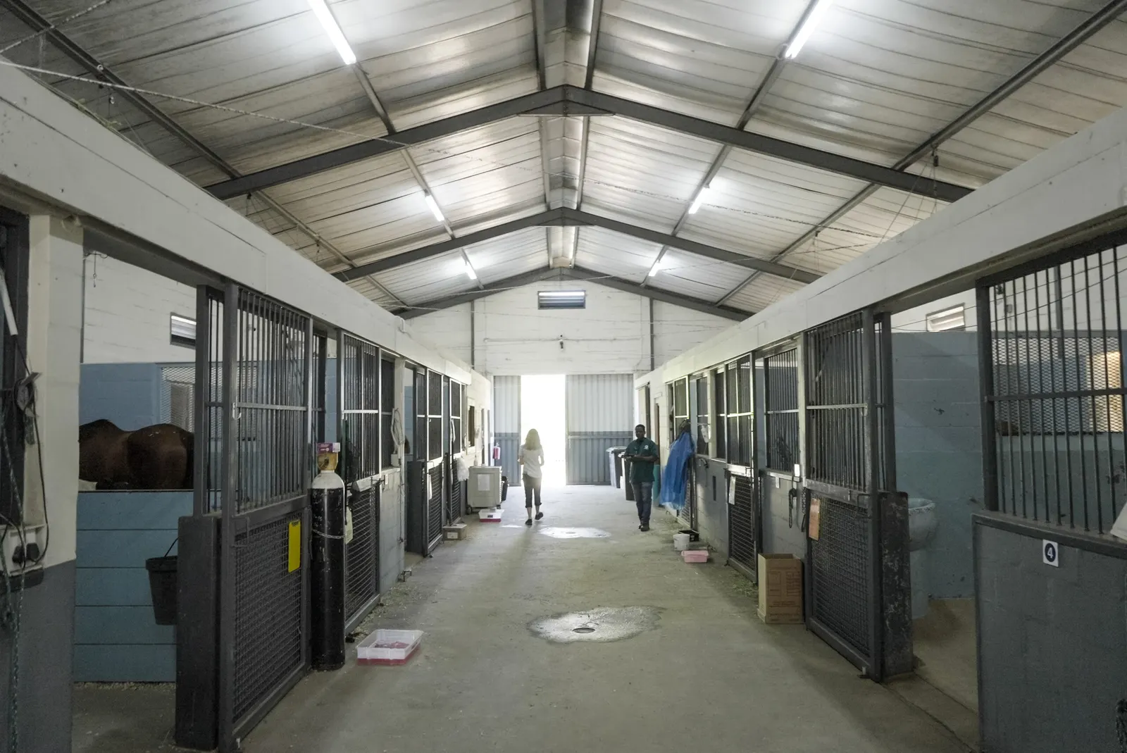 The covered stable corridor at the equine hospital