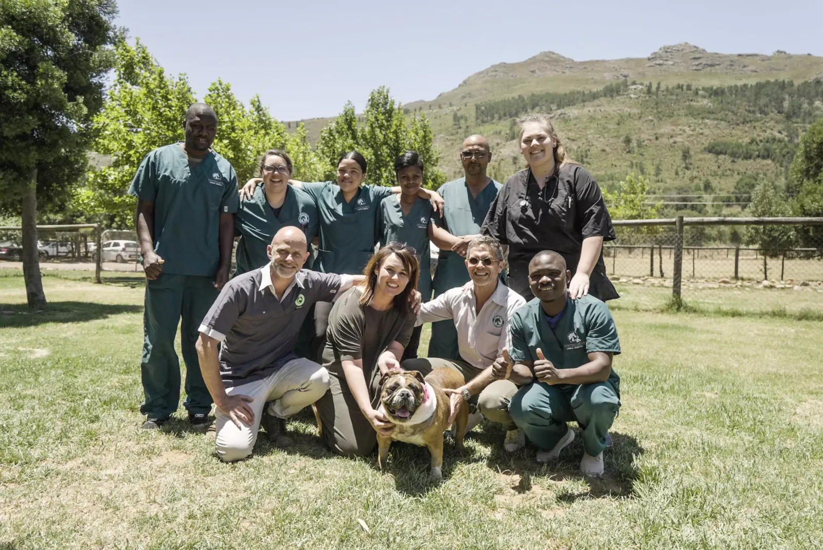 The Vetscape team on the lawn in front of the mountains