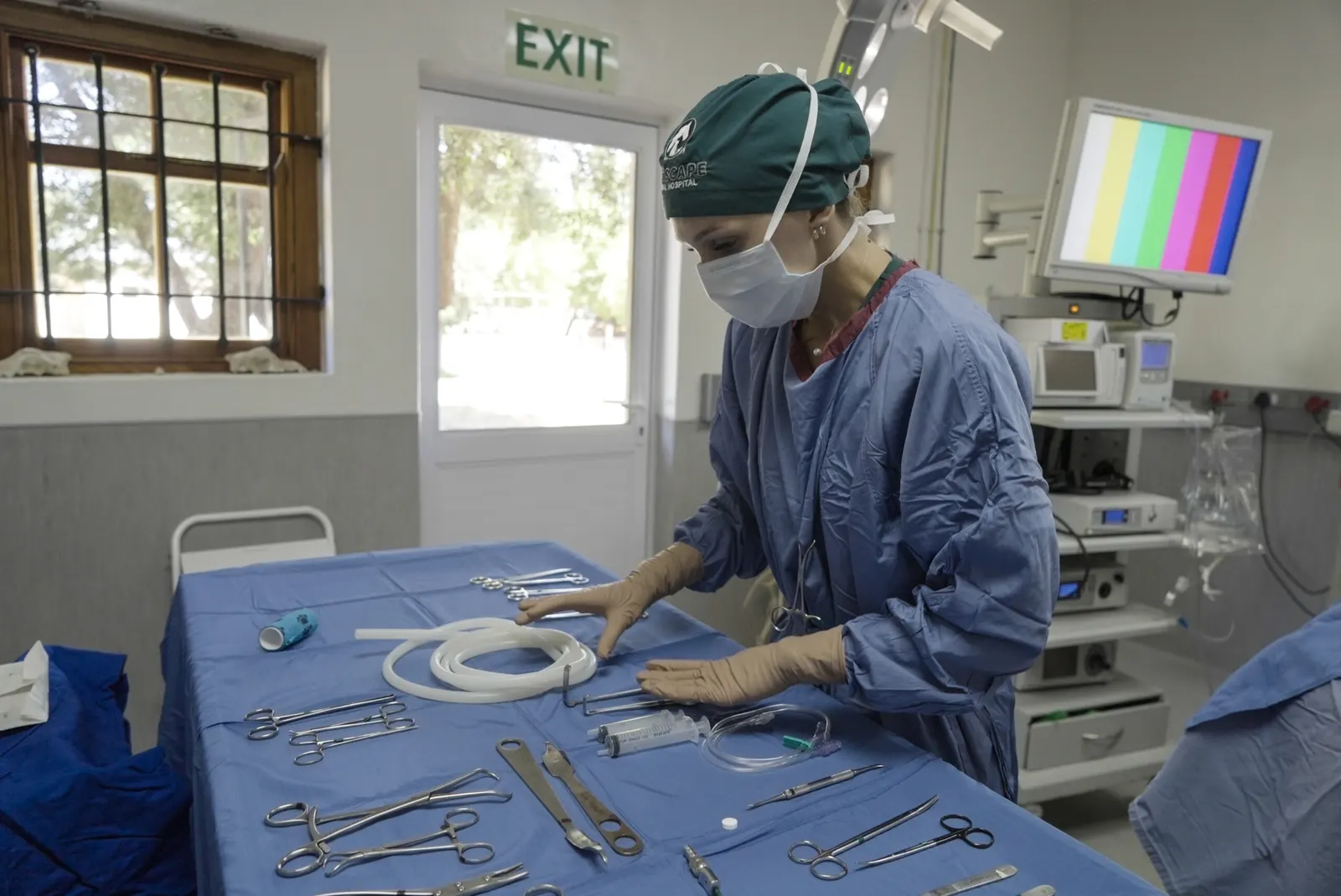 A surgeon preparing instruments in the small animal theatre