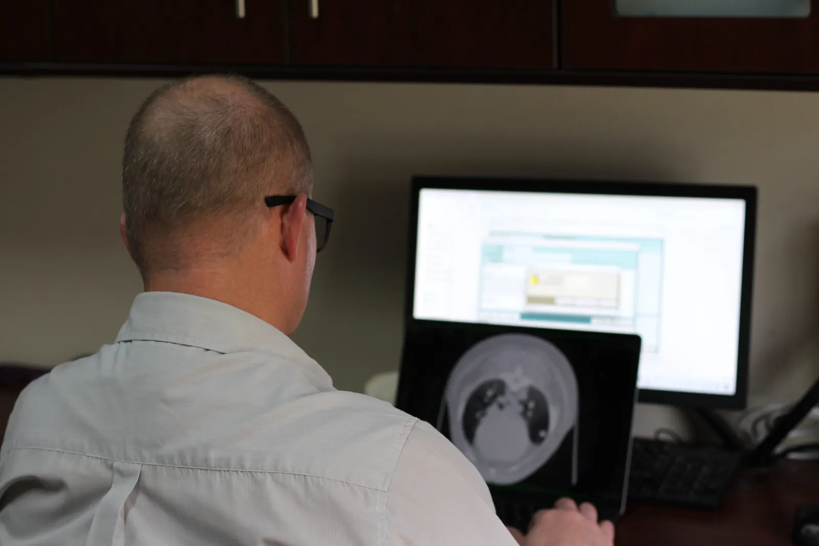 A vet reviewing radiographs on screen